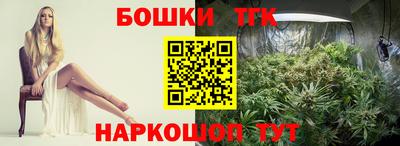 индика Будённовск