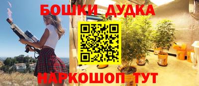 индика Будённовск